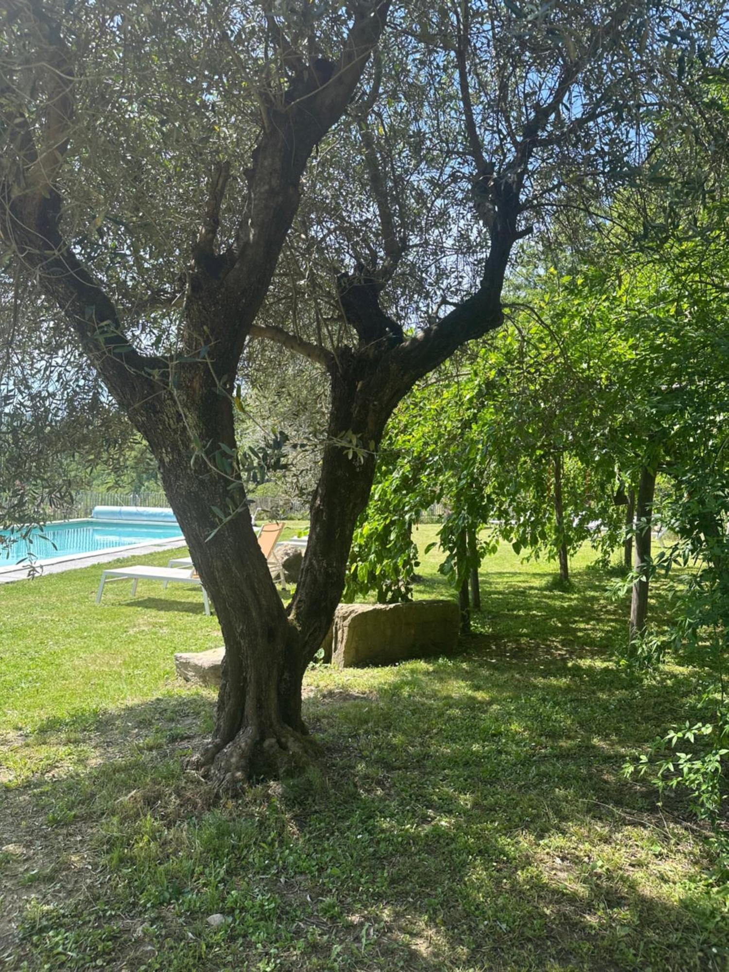 Collina Di Sopra Villa Tresana ภายนอก รูปภาพ